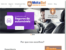 Tablet Screenshot of metasul.net